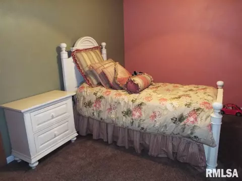 29 Forestview Rd, Morton, IL 61550 photo 22