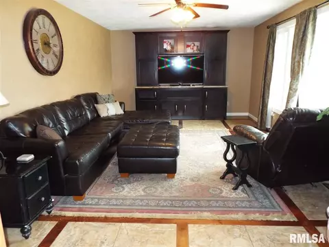 29 Forestview Rd, Morton, IL 61550 photo 3