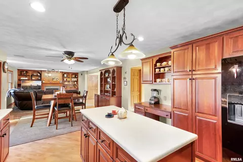 703 S Breckenridge Dr, Dunlap, IL 61525 photo 15