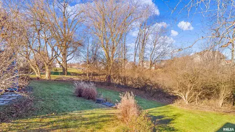 703 S Breckenridge Dr, Dunlap, IL 61525 photo 42