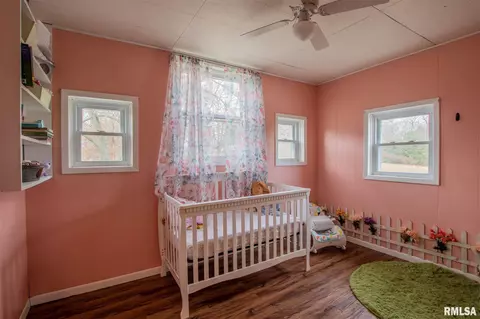 607 E High St, Manito, IL 61546 photo 22