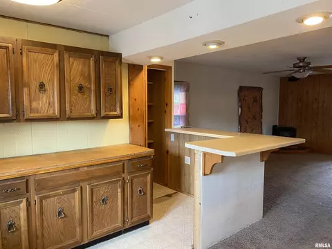 722 E Walnut St, Canton, IL 61520 photo 15