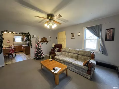 104 Washington St, Benson, IL 61516 photo 3