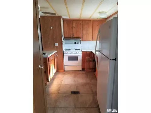 145 E Birch St, Canton, IL 61520 photo 14