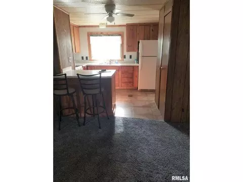 145 E Birch St, Canton, IL 61520 photo 12