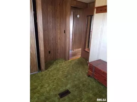 145 E Birch St, Canton, IL 61520 photo 23