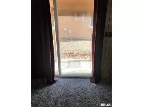 145 E Birch St, Canton, IL 61520 photo 10