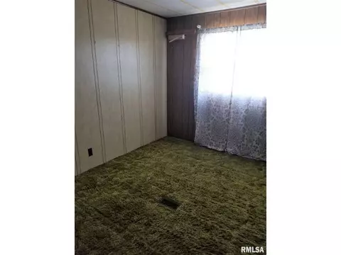 145 E Birch St, Canton, IL 61520 photo 25