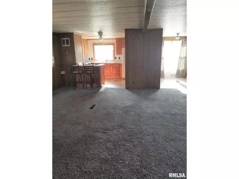 145 E Birch St, Canton, IL 61520 photo 16