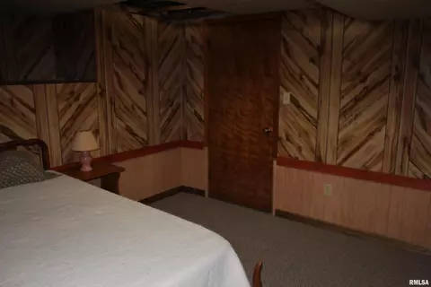 640 E Park St, Cuba, IL 61427 photo 22