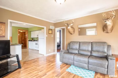 10818 W Timber Rd, Mapleton, IL 61547 photo 5