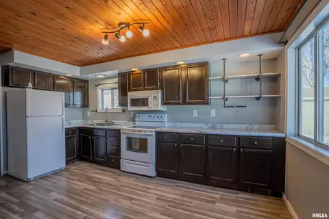 206 E Ann St, Roanoke, IL 61561 photo 8
