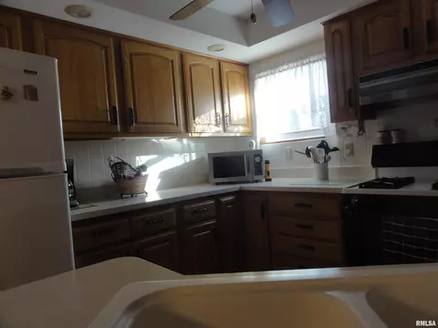413 N 2nd St, Dunlap, IL 61525 photo 12