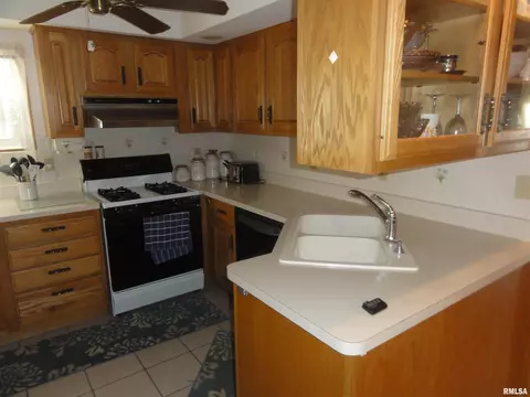413 N 2nd St, Dunlap, IL 61525 photo 10