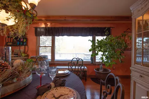 448 E Town Hall Rd, Metamora, IL 61548 photo 18