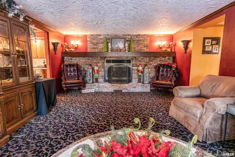 448 E Town Hall Rd, Metamora, IL 61548 photo 13