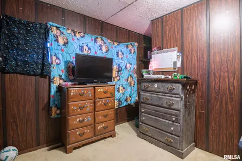 2212 Us Hwy 24, Secor, IL 61771 photo 30
