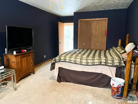 401 E Topeka St, Toluca, IL 61369 photo 40