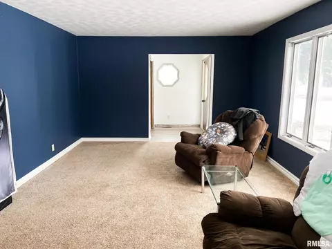 401 E Topeka St, Toluca, IL 61369 photo 25