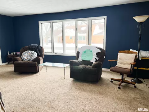 401 E Topeka St, Toluca, IL 61369 photo 26
