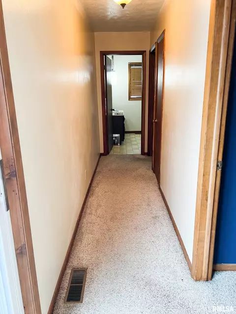 401 E Topeka St, Toluca, IL 61369 photo 35