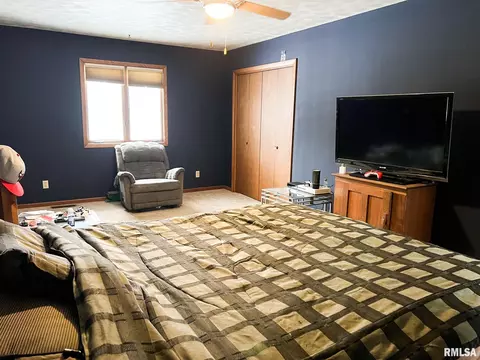 401 E Topeka St, Toluca, IL 61369 photo 41