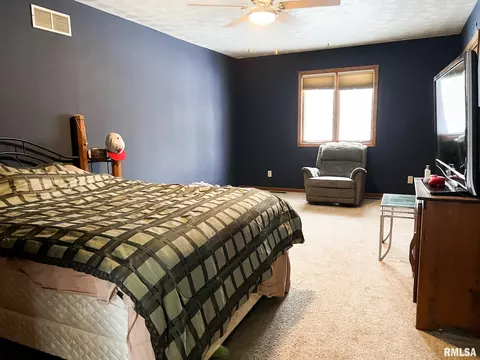 401 E Topeka St, Toluca, IL 61369 photo 39