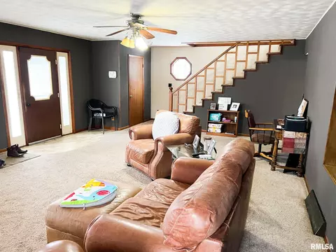 401 E Topeka St, Toluca, IL 61369 photo 9