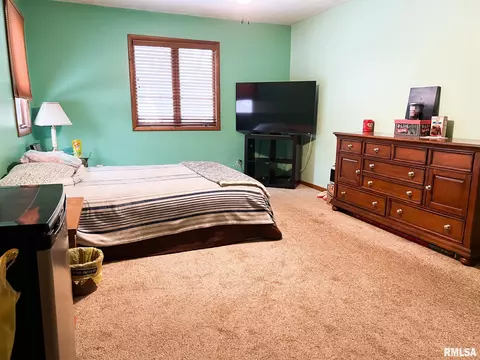 401 E Topeka St, Toluca, IL 61369 photo 38