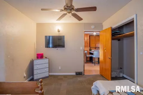 627 E Pine St, Canton, IL 61520 photo 18