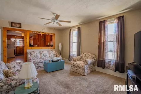 627 E Pine St, Canton, IL 61520 photo 3