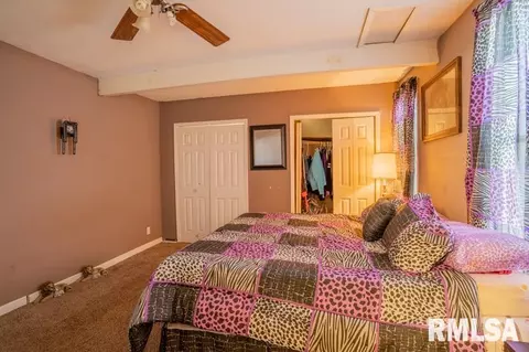 627 E Pine St, Canton, IL 61520 photo 11