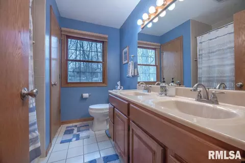 1534 Deer Path, Metamora, IL 61548 photo 41