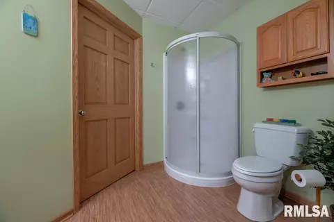1534 Deer Path, Metamora, IL 61548 photo 49