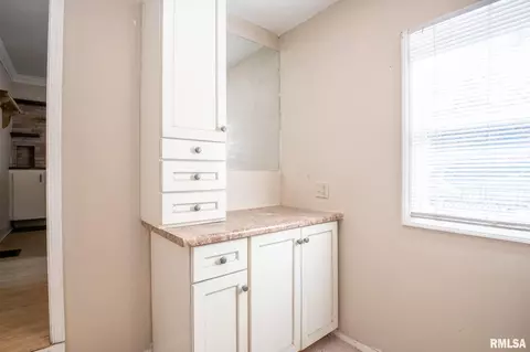 416 E Chatham St, Metamora, IL 61548 photo 40