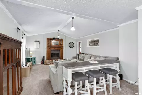 106 S Creamery St, Eureka, IL 61530 photo 4