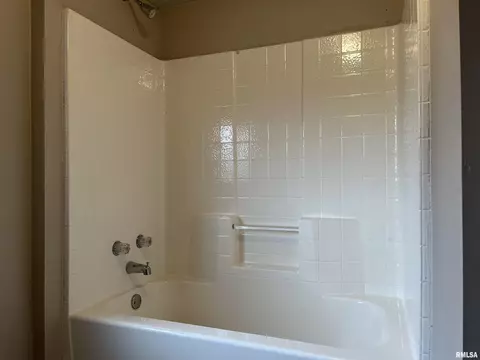 1105 3rd St, Lacon, IL 61540 photo 30