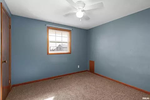 206 E 2nd St, Mackinaw, IL 61755 photo 20