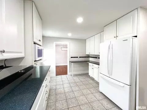 1020 E Madison St, Morton, IL 61550 photo 9