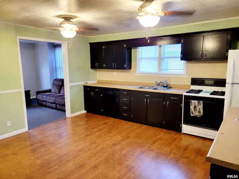 207 Pleasant St, Benson, IL 61516 photo 6