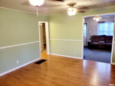 207 Pleasant St, Benson, IL 61516 photo 4