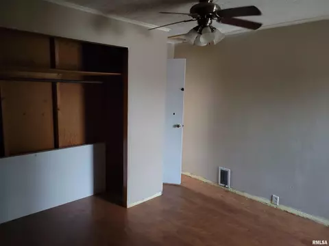 207 Pleasant St, Benson, IL 61516 photo 16