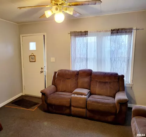 207 Pleasant St, Benson, IL 61516 photo 5