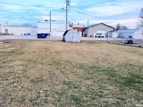 207 Pleasant St, Benson, IL 61516 photo 19