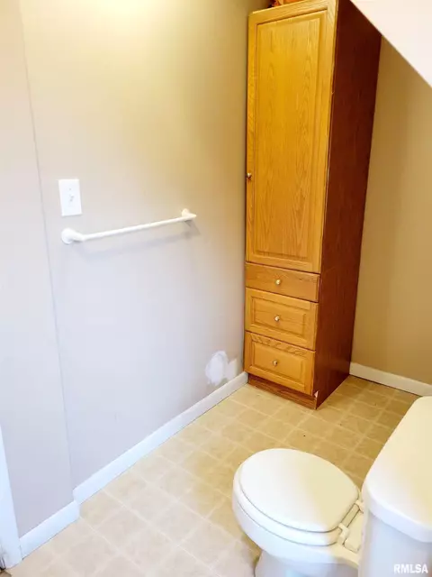 207 Pleasant St, Benson, IL 61516 photo 14