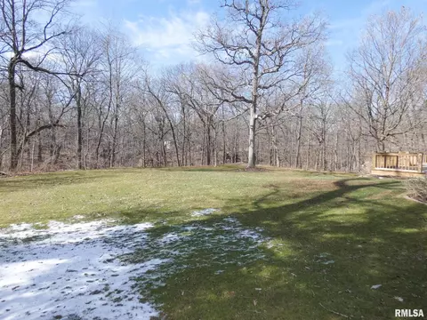 11709 N Strathmoore Ct, Dunlap, IL 61525 photo 46
