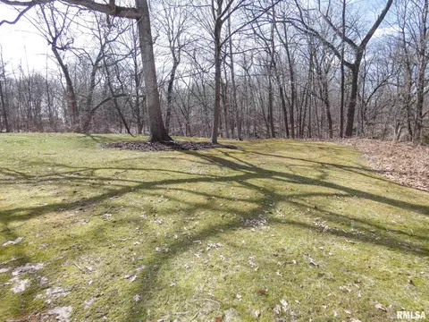 11709 N Strathmoore Ct, Dunlap, IL 61525 photo 45