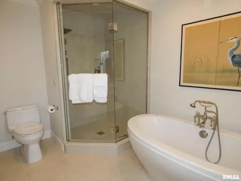 11709 N Strathmoore Ct, Dunlap, IL 61525 photo 29