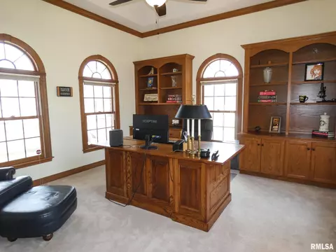 11709 N Strathmoore Ct, Dunlap, IL 61525 photo 18