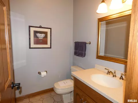 11709 N Strathmoore Ct, Dunlap, IL 61525 photo 17